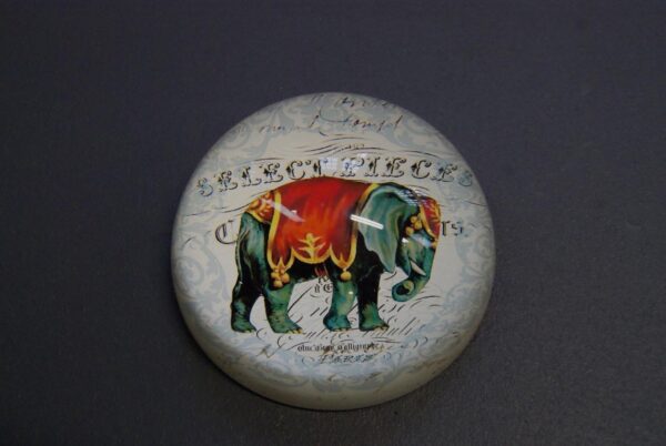 Elephant P weight