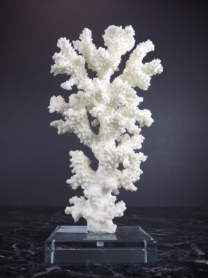 Coral Table Piece