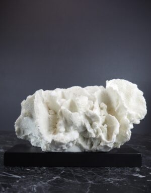 Coral Table Piece