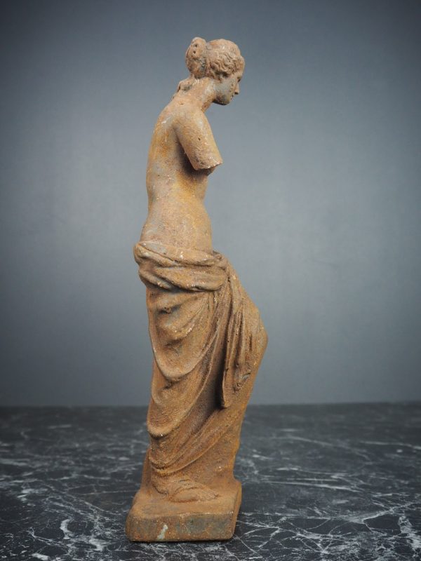 11.5" Venus - Image 5