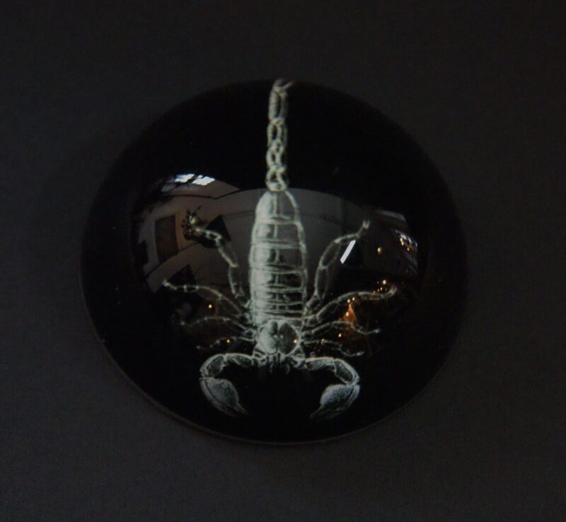 Scorpion Pweight
