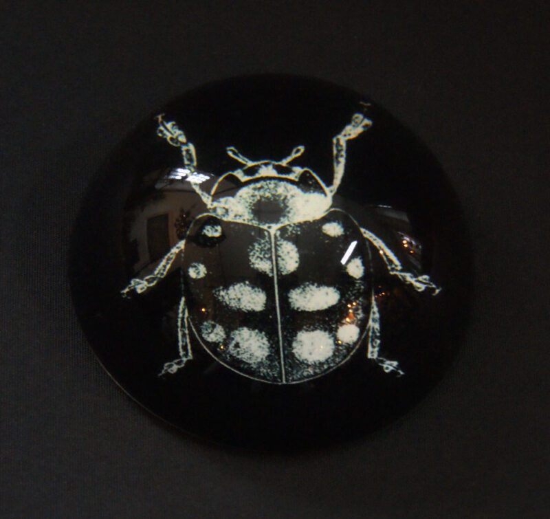 Ladybug Pweight