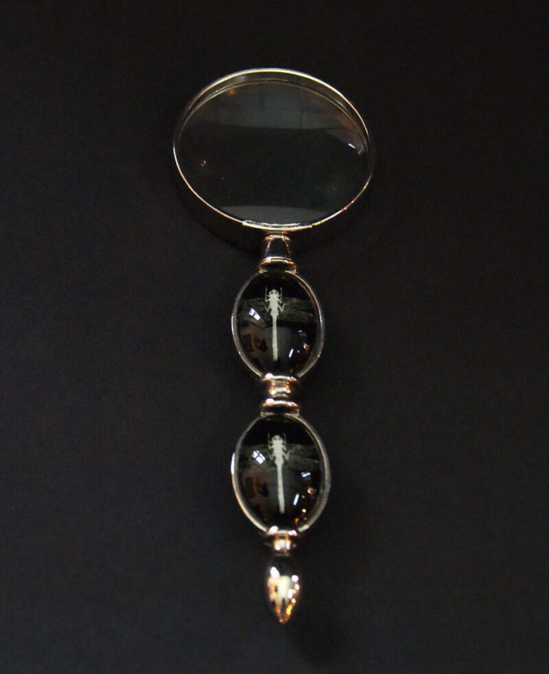Dragonfly Magnifying Glass