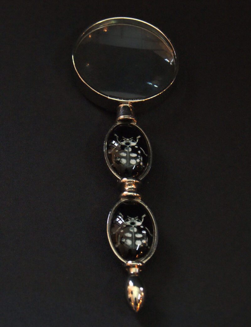Ladybug Magnifying Glass