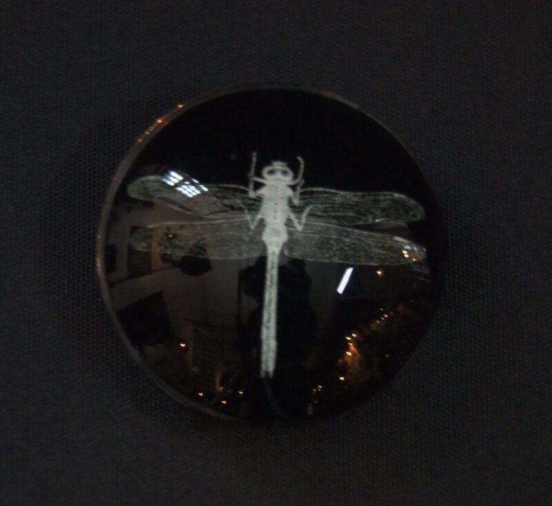 Dragonfly Magnet