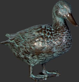 Male Mallard Duck GrnshBrnze