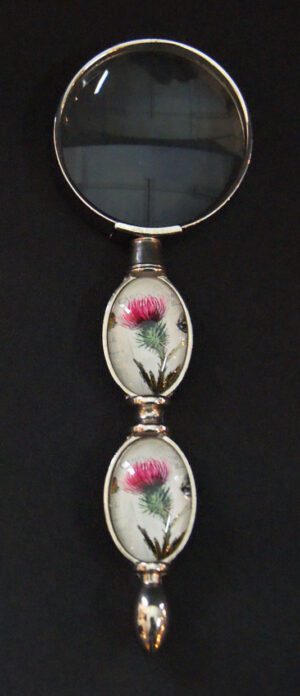 Magnifying Glass Flower