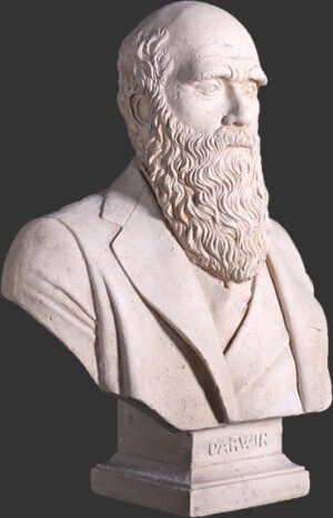 Darwin Bust Roman Stone