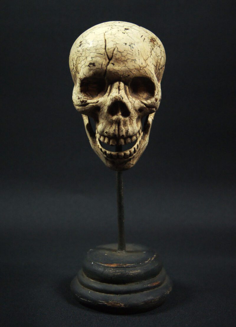 Big Skull On Stand Wda