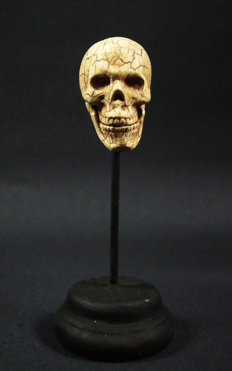 Small Skull On Stand Wda
