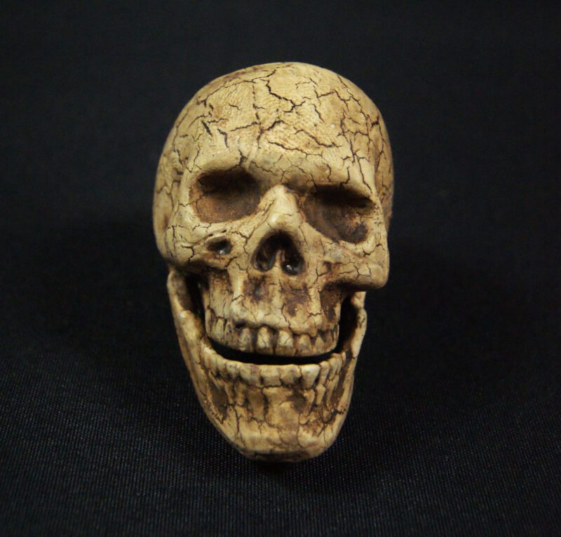 Small Skull Table Top Wda