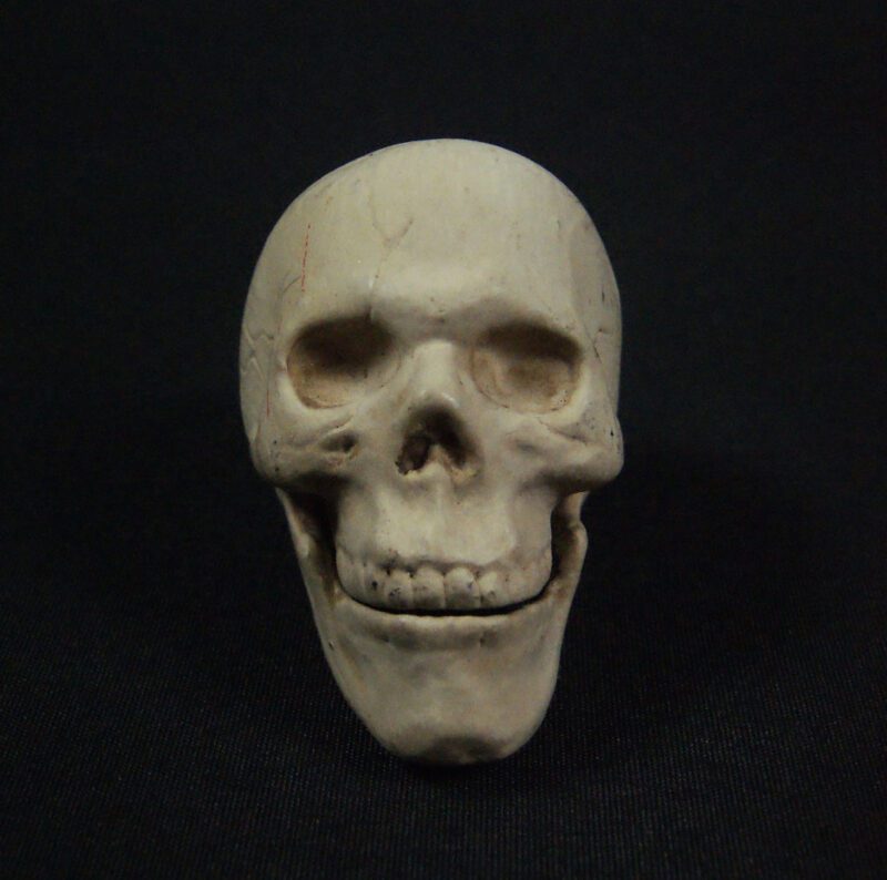 Small Skull Table Top Natral C