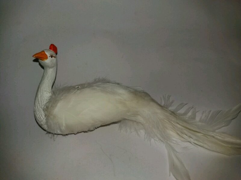 Peacock Ornament White