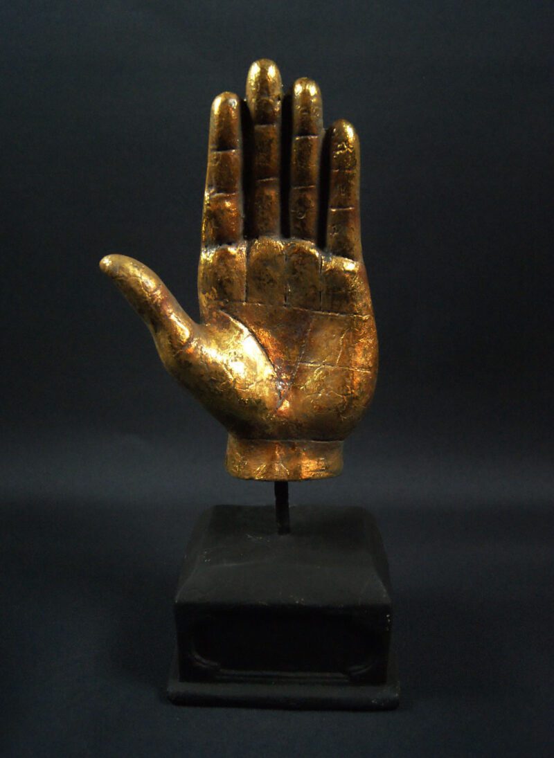 Hand Palmisrty Gla