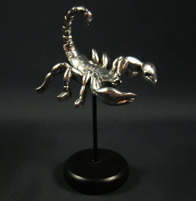 Scorpion