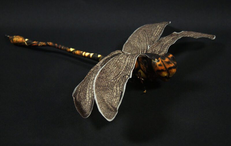 Dragonfly dark 40 cm