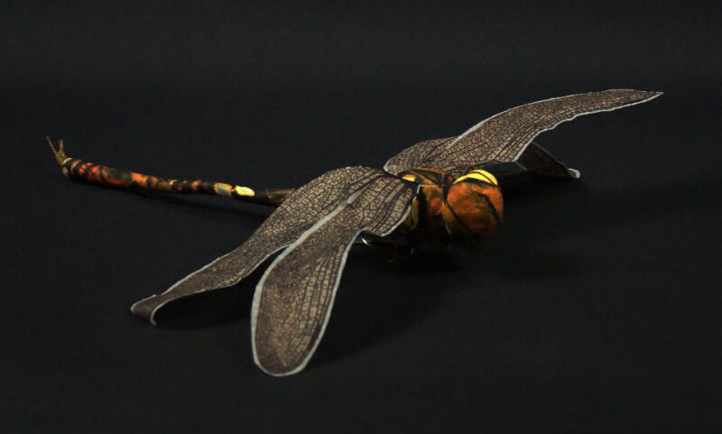 Dragonfly dark 30 cm