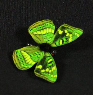 Butterfly green 5 cm w/magnet