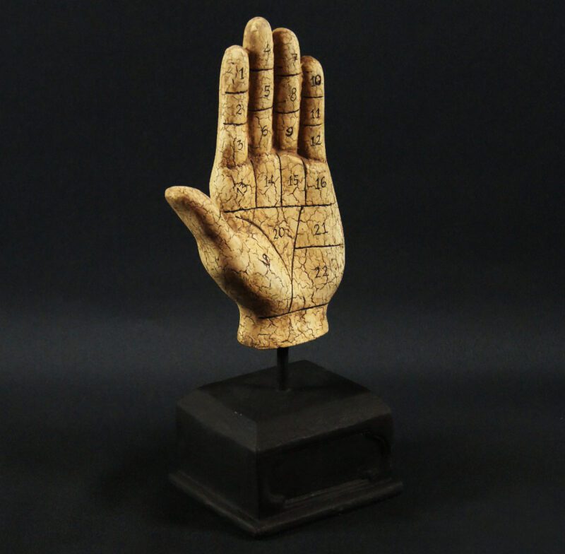 Hand Palmisrty WDA