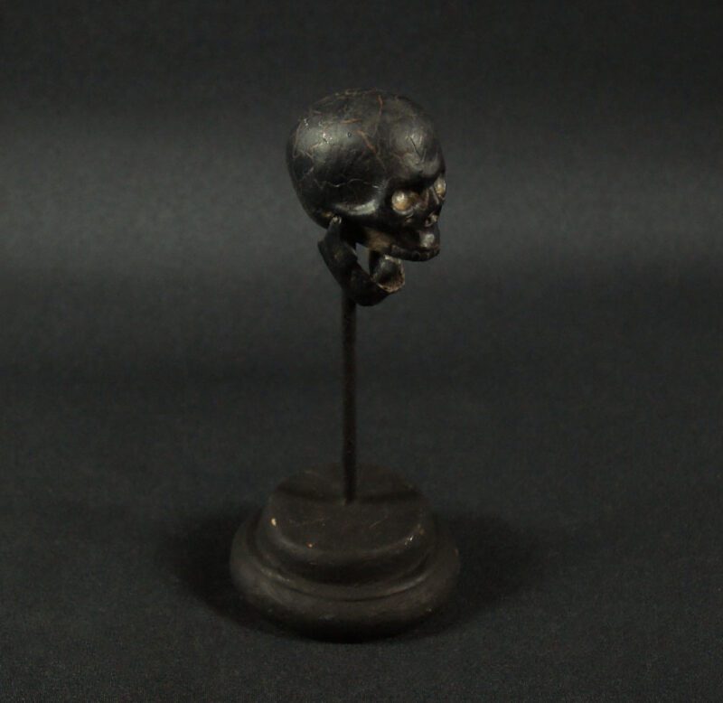 Small Skull On Stand Bda