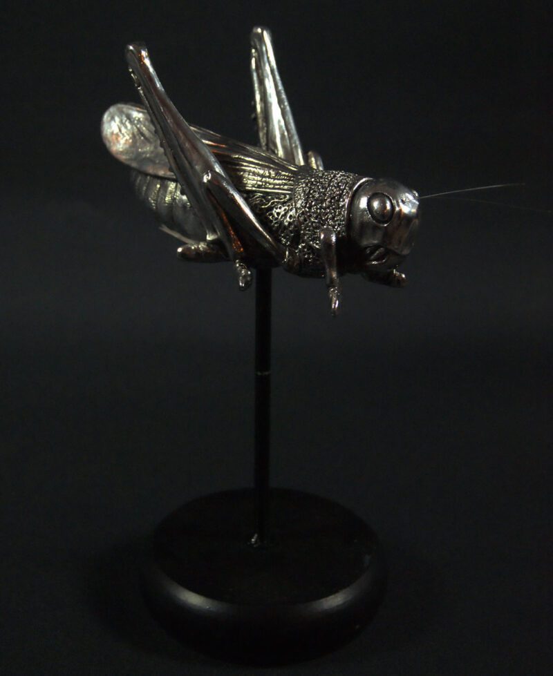 Grasshopper