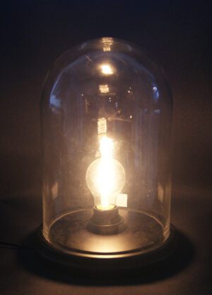 Glass Dome w Light