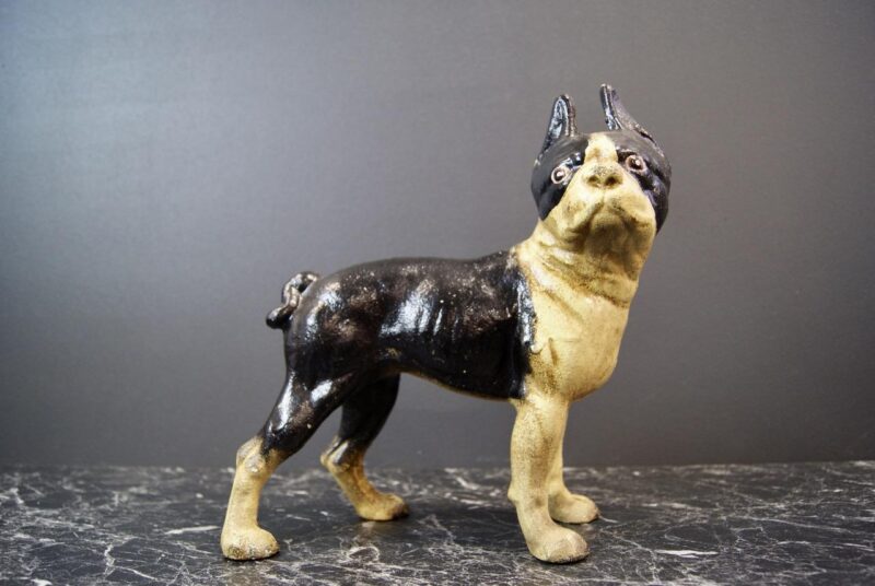 Pug Dog Not Bank