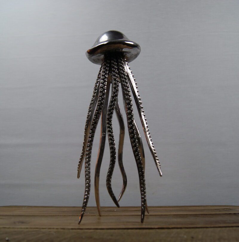 Jellyfish
