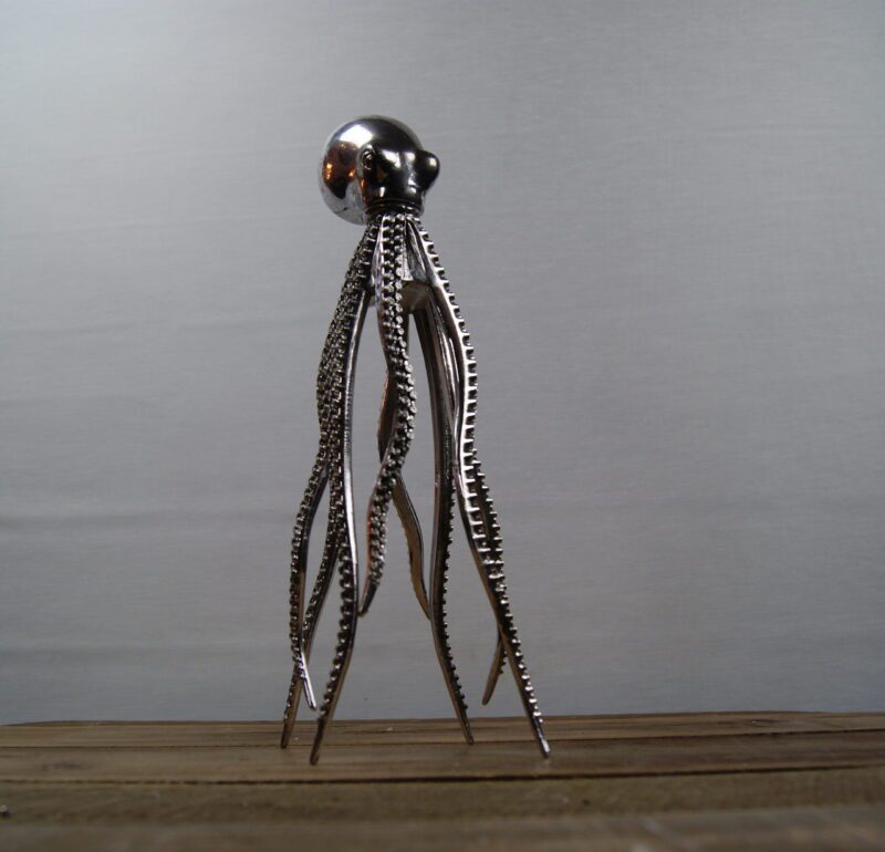 Octopus