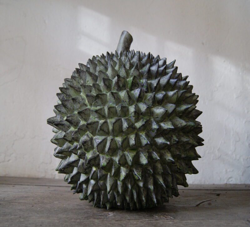 13" Durian