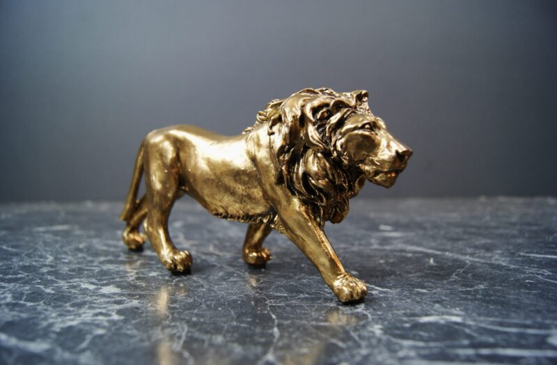 6" Lion