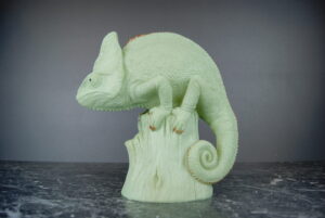 CHAMELEON