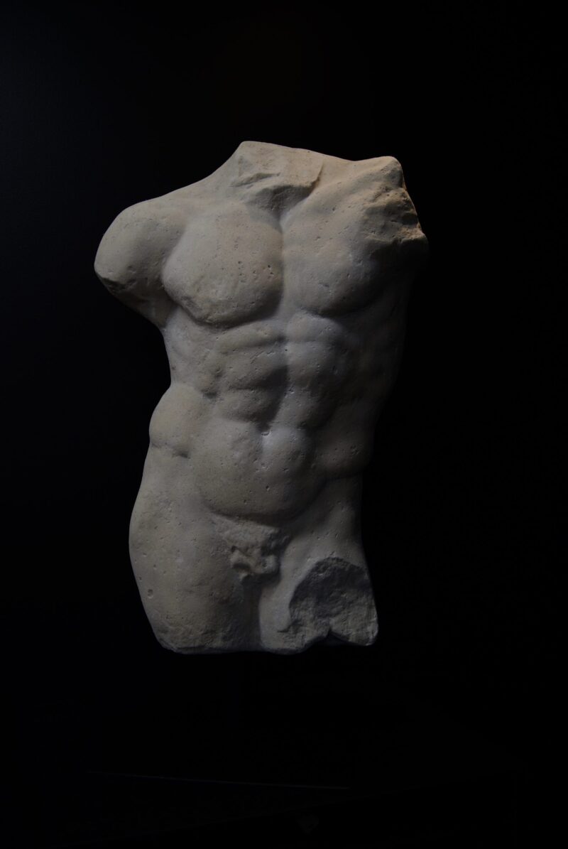 Andrea Male Torso RS