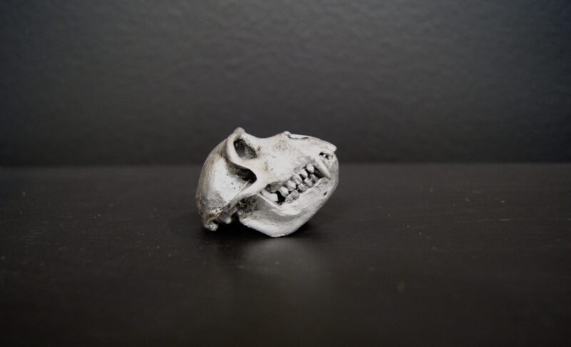 Pewter Monkey Head Skull