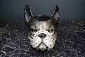 Dog planter French bulldog