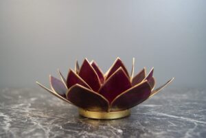 Lotus Dark Purple