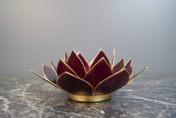 Lotus Dark Purple