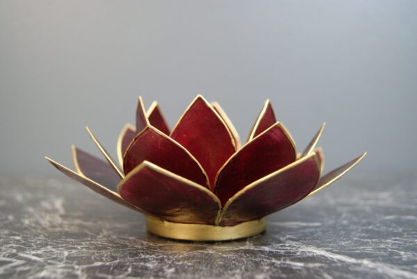 Lotus Burgundy