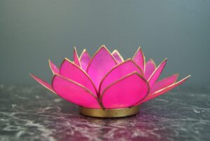 Lotus Light Pink