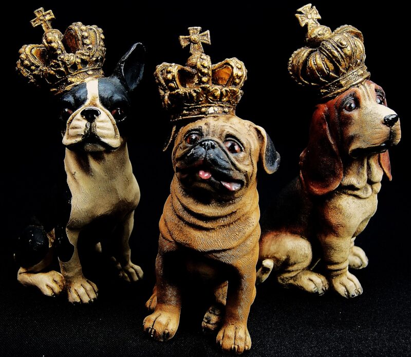 Dog crown s/3 col ant