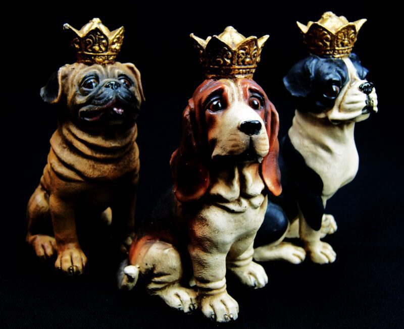 Dog Queen Crown S/3 Col Ant