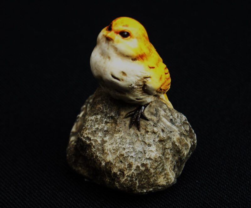 Bird