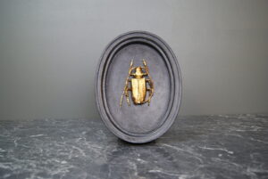 Resin Insect Wall Deco