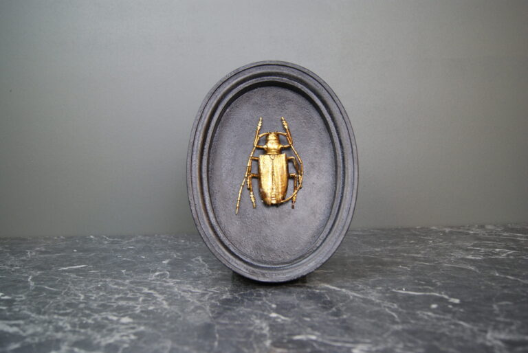 Resin Insect Wall Deco