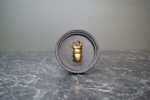 Resin Insect Wall Deco