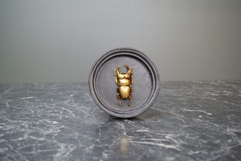 Resin Insect Wall Deco