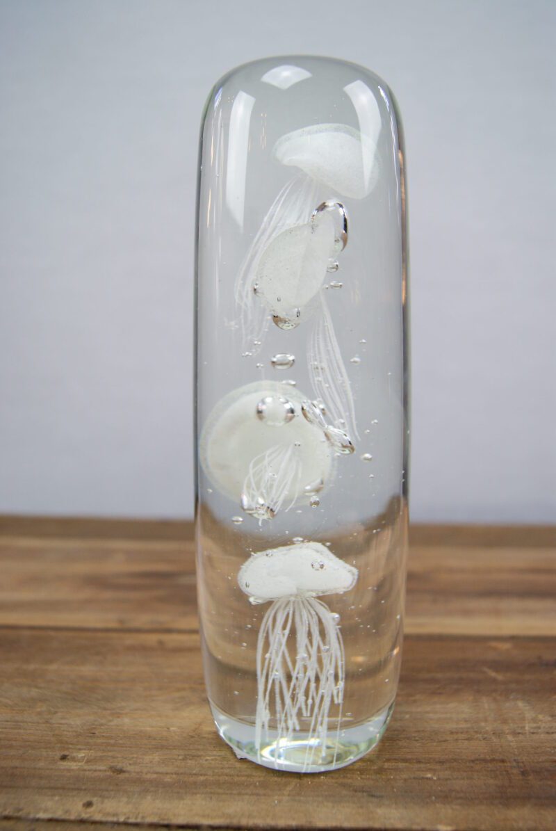 Glass Jellyfish