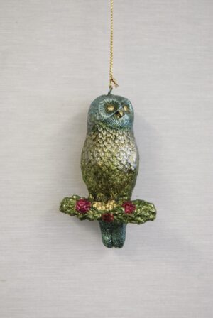 Owl Olive