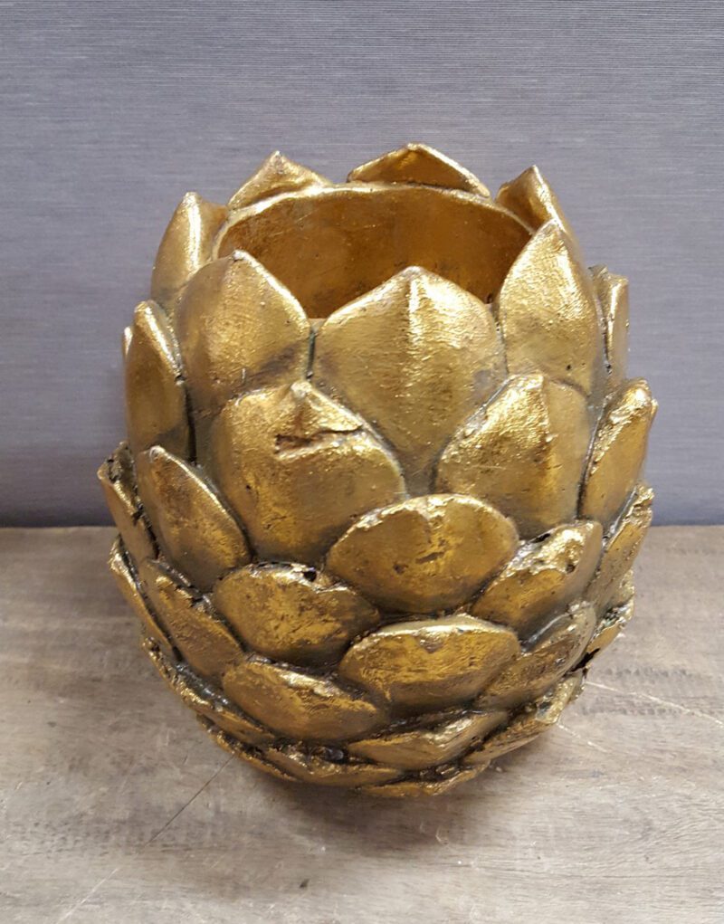 Pinecone CH Big GLA