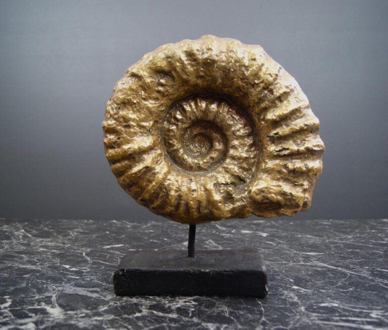 Shell On Stand Small GLA